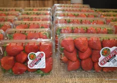 Strawberries from Oxnard on display at Well Pict's booth.